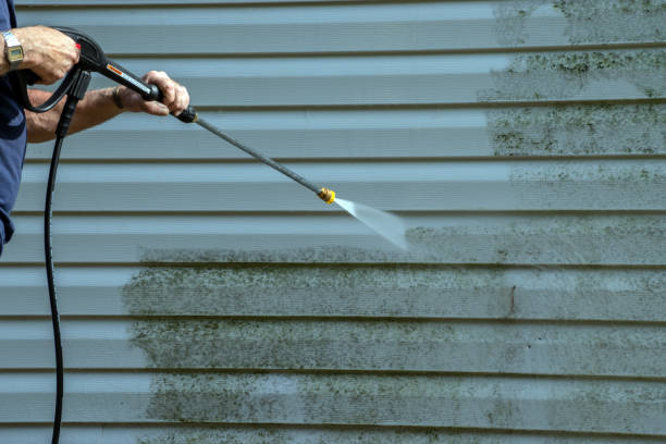 Best Residential Pressure Washing Services  in Emmetsburg, IA