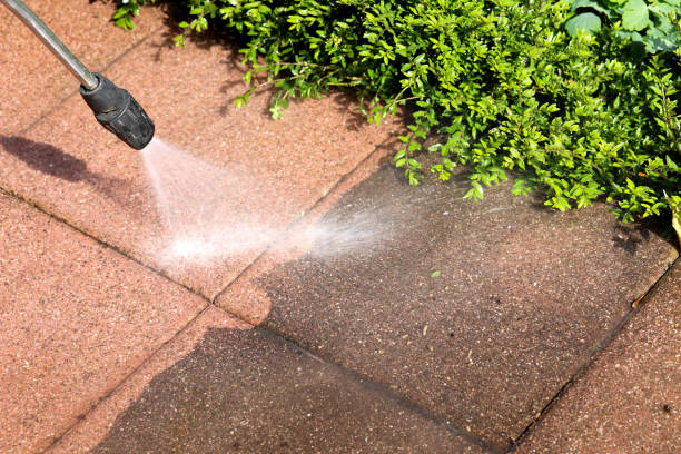 Professional Pressure Washing in Emmetsburg, IA